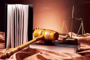 文物拍卖中权利竞合关系的妥善处理